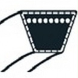 598559101 - Courroie de...