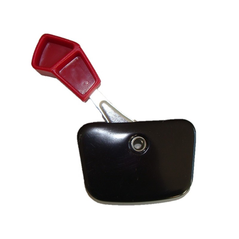 Manette Accélérateur Universel Qiilu - Pour Tondeuse Guidon 19mm