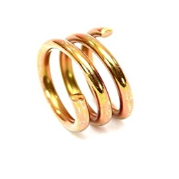 530037820 - Ressort de...