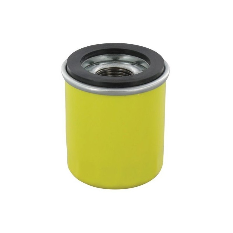 795990 - Filtre à Huile pour moteur BRIGGS et STRATTON