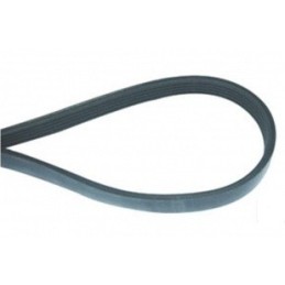 513787200 - Courroie plate...