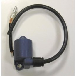 A411001080 - Bobine Haute...