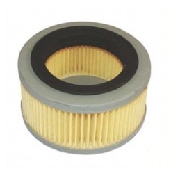 42031410300 - Filtre à Air...