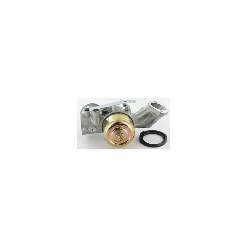 Briggs & Stratton Carburateur revisie-set - 24847273588