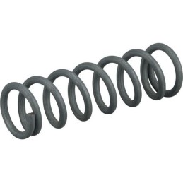 1134-4617-01 - Ressort pour...