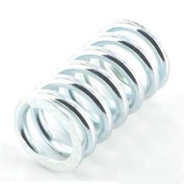 122450063/0 - Ressort pour...