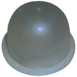 188-13 - Poire d'Amorcage...