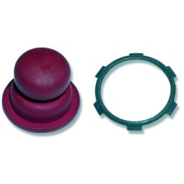 36045 - Poire d'amorcage...