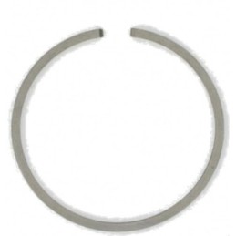 61070065R - Segment pour...