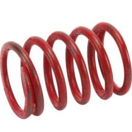 691597 - Ressort de soupape...