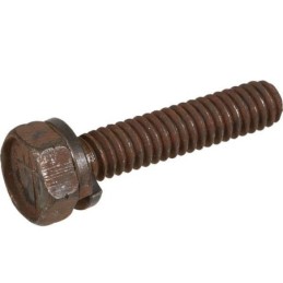 692551 - Vis carter...