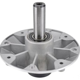 387203001/0 - Palier de...