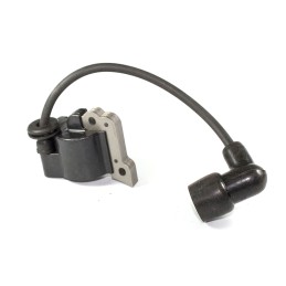 6981001 - Bobine d'allumage...