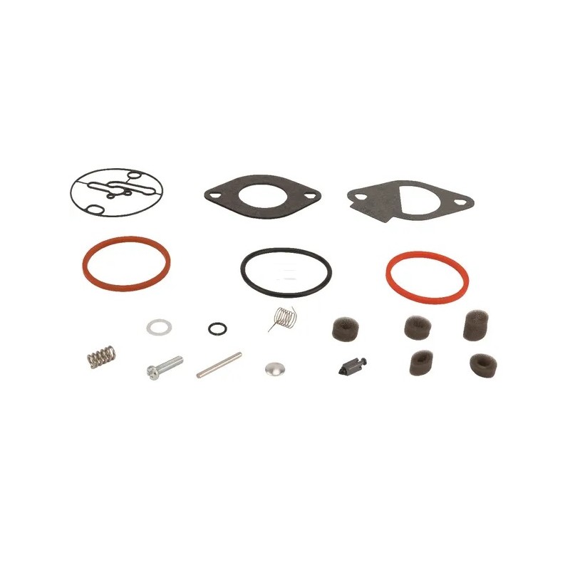 Kit Réparation Démarreur Briggs & Stratton | 6 Pièces - 16 Dents