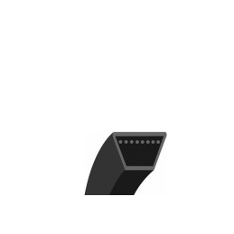 CP047827 - Courroie pour...