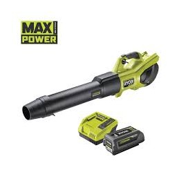 RY36BLXB-150- Souffleur...