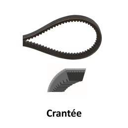 00292-74110 - Courroie de...