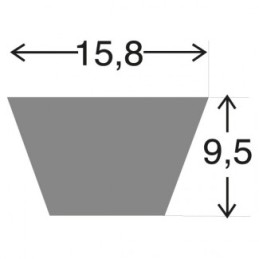 L590 - Courroie 5L900