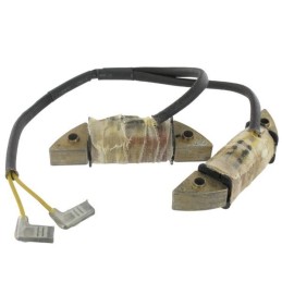 118550210/1 - Alternateur...