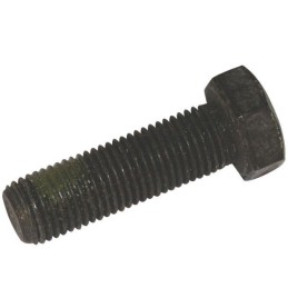 532165484 - Vis de Lame...