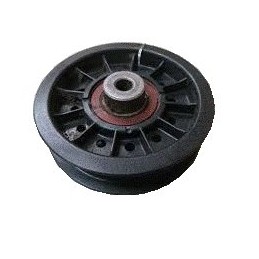 AM121969 - Galet Tendeur...