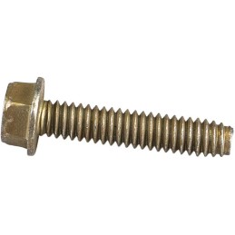 710-0809 - Vis pour...