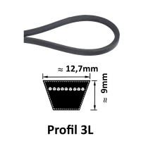 Courroie 3L