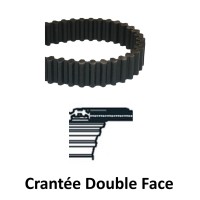 Courroie Crantée Double Face