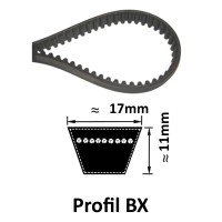 Courroie BX